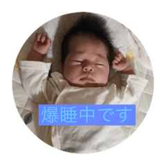 sakura_20230907213144