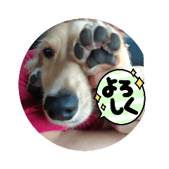 ryouji_20230907170413