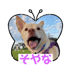 nanairo_20230907183237