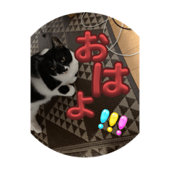 Yuka_20230908003900