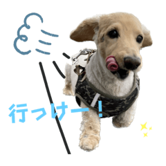 Nao_20230907224808
