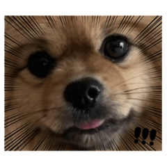 SAKURA_20230907194700