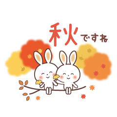 Fluffy Rabbit [Autumn]