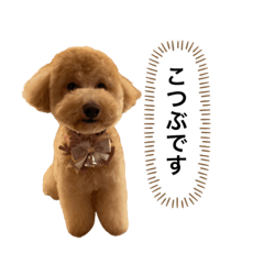 kana_20230908124718
