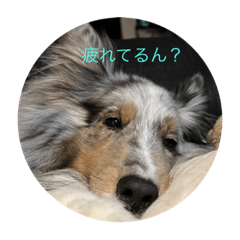 jack0124