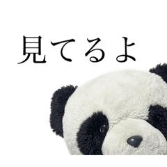 A panda Panchan