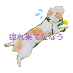Nao_20230908150936