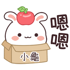 嬌嬌兔姓名貼_小龜專用