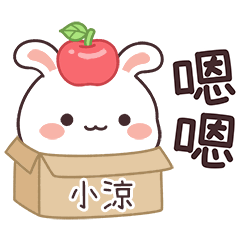 嬌嬌兔姓名貼_小涼專用