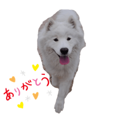 kana_20230908154651
