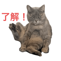 yuka_20230908170436