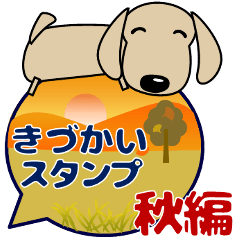 kind-hearted dachshunds(dog) autumn