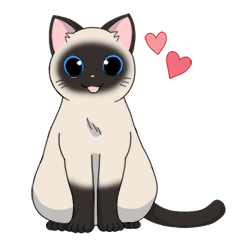 Siamese cat_by672