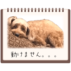 hana_20230908224226