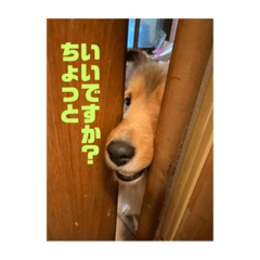 Jack_20230908215928