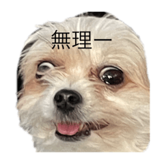 aoi_20230908182052