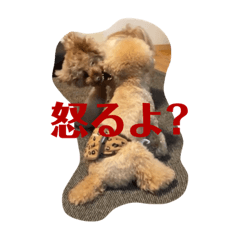 hana_20230909014911