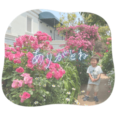 junko_20230908194602