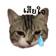 Arisa_20230909120559