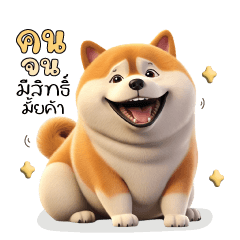 ชิบะ : เจ้าหมาอ้วนอารมณ์ดี