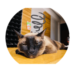 陰晴不定的咪仔