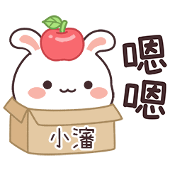 嬌嬌兔姓名貼_小瀋專用