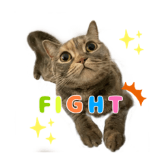 Arisa_20230909092623