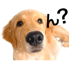 SAKURA_20230909121701