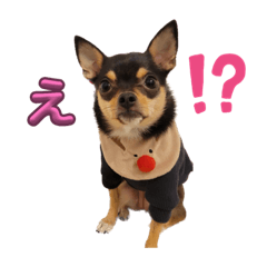 Suzu_20230909163728