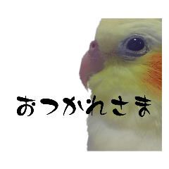 riri_20230909174823