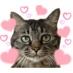 Harupeco_20230909212442