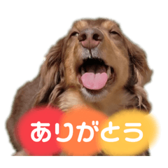 suzu_20230909220121