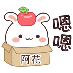 嬌嬌兔姓名貼_阿花專用