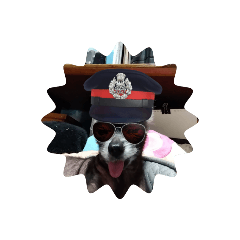 kotaroSTAMP0