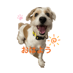 Nao_20230909193318
