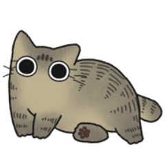 Brown tabby chubby cat (No text)