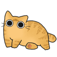 Red tabby chubby cat (No text)