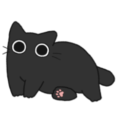 Black chubby cat (No text)