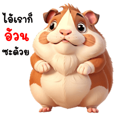Funny Guinea Pig (THAI)