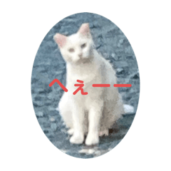 nekolife2023