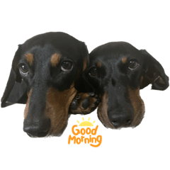 ZENtoFUKU_20230909231659