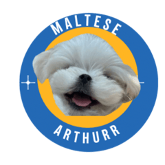 Arthurr mathese club