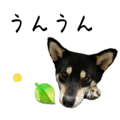 Sakura_20230909224717