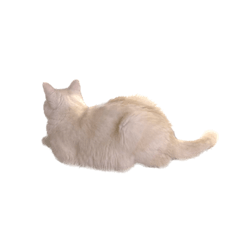 MOCHI NEKO_20230910021044