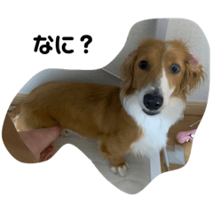 ima_20230910020852