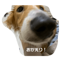 ima_20230910021254