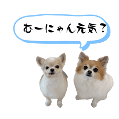 nozomi_20230910075845