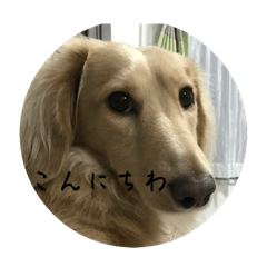 Yuto_20230910075610