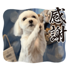 Nao_20230909222100