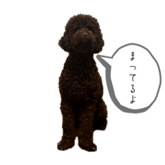 kana_20230910133827